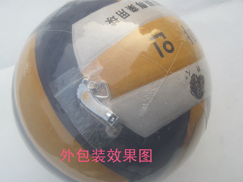 Ballon de volley - Ref 2009301 Image 1