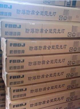 FAY系列防水防尘防腐全塑荧光灯 CBQY防爆防腐荧光灯 全塑荧光灯