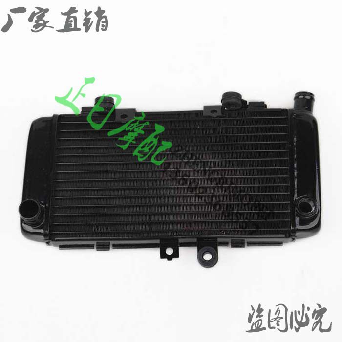 正日摩配： 小黄蜂250 水箱总成 水冷器 水箱散热器 注塑