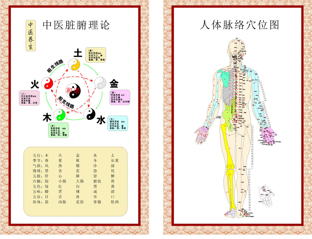 595海报印制海报展板素材15中医脏腑理论人体脉络穴位图 非高清图