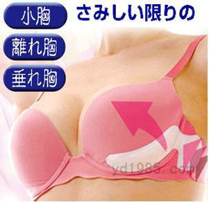 Coques pour soutien-gorge - Ref 819501 Image 1