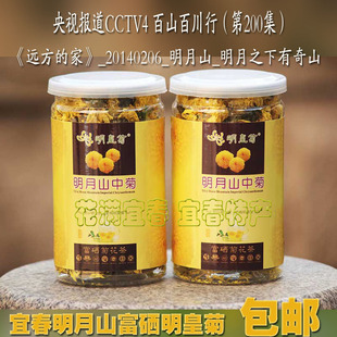 含硒明皇菊花温汤明月山中菊黄菊一朵一杯35克罐装江西宜春特产