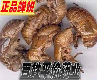 野生蝉蜕知了皮可打粉包邮