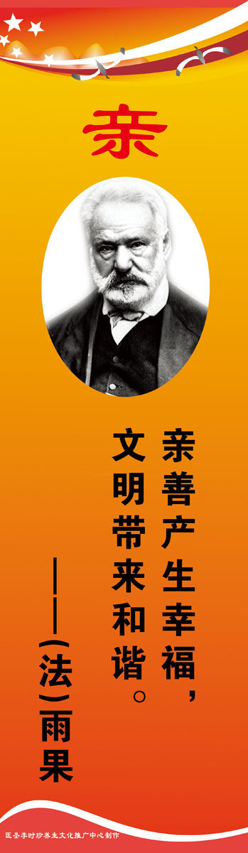572海报印制海报展板素材569雨果简介绍名人名言格言(5)