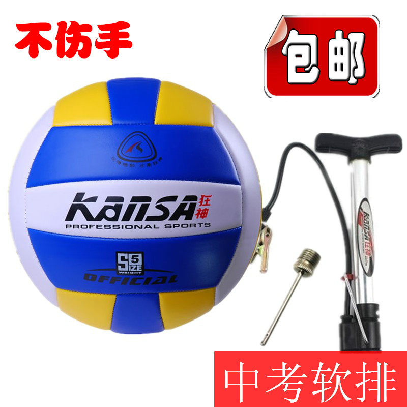 Ballon de volley-ball - Ref 2010438 Image 1