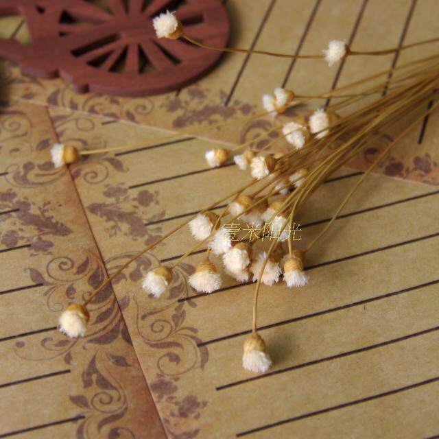 天然干花唯美满天星迷你复古花网店饰品插花摄影拍照拍图背景道具