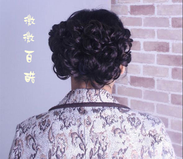 Extension cheveux - Chignon - Ref 238295 Image 1