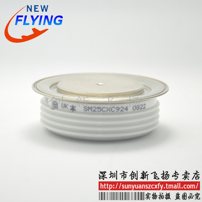 SM25CXC924功率模块电源模块SUNYUANSZ一级代理全新原装