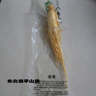 长白山保鲜参 抚松人参长白山人参 renshen生晒参20元一个