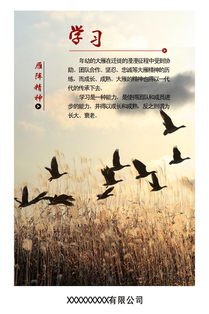 647海报印制定制展板素材97企业文化学习雁阵精神宣传