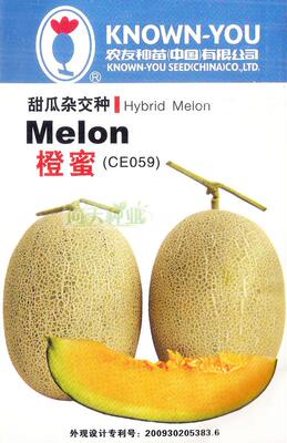 橙蜜6斤品种网纹瓜糖度甜瓜种子