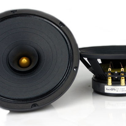 8 full range speaker