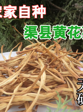四川黄花菜干货 纯天然脱水蔬菜干 渠县金针菜 农家自制 2件包邮