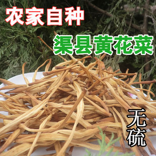 四川黄花菜干货 纯天然脱水蔬菜干 渠县金针菜 农家自制 2件包邮