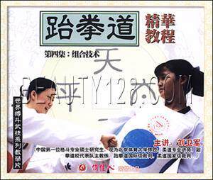 【天韵◆正版】跆拳道的组合技术散手  1VCD 刘卫军