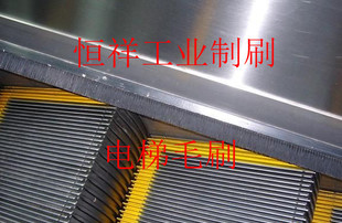 厂家直销电梯毛刷扶梯毛刷扶梯安全毛刷自动扶梯毛刷电梯防夹毛刷