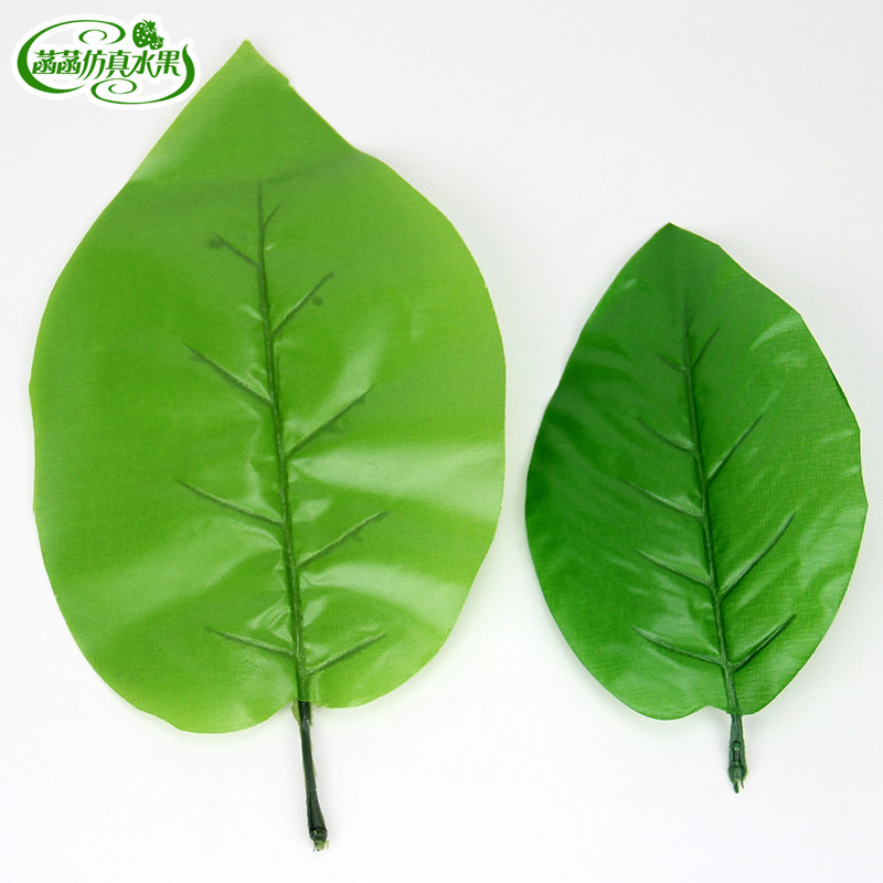 仿真叶子绿色假水果蔬菜配件叶子模型摄影视道具早教装饰布叶
