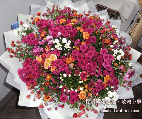 雏菊超大束祝福昆明鲜花