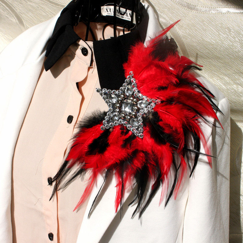 主持结婚演出舞台夸张满钻羽毛肩章 胸花胸针 羽毛男胸针五角星,饰品/流行首饰/时尚饰品新,胸针,淘宝优惠券,粉丝福利购,淘宝优惠卷