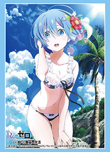 re:从零开始的异世界生活(泳装雷姆蕾姆)武士道限定卡套现货