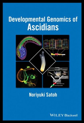 美国库房发货，通常付款后5-8周到货！