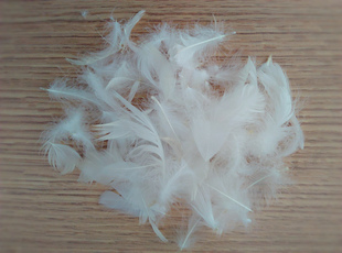 白色鹅毛特细羽毛高温消毒高档枕头靠垫沙发填充物无异味散装特惠