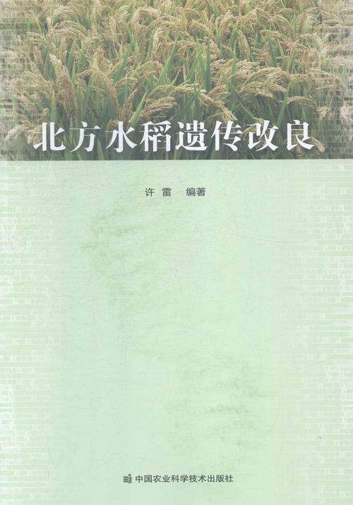 北方水稻遗传改良 书店 许雷 农作物书籍 畅销书 畅想畅销书