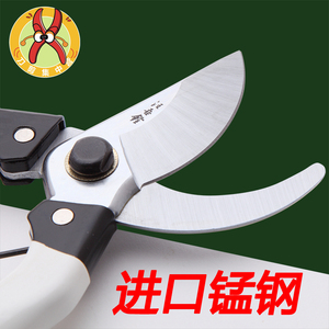 进口锰钢修枝剪园艺剪刀修花木园林工具果树剪子粗枝剪花剪1