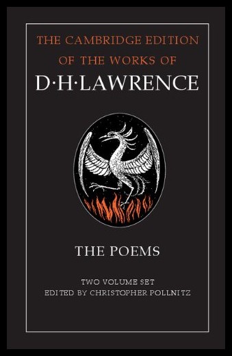 美国库房发货，通常付款后5-8周到货！