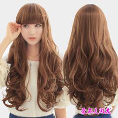 Extension cheveux - Chignon - Ref 247916 Image 10