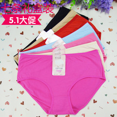 Slip 7-353035063508 en coton - Ref 644936 Image 43