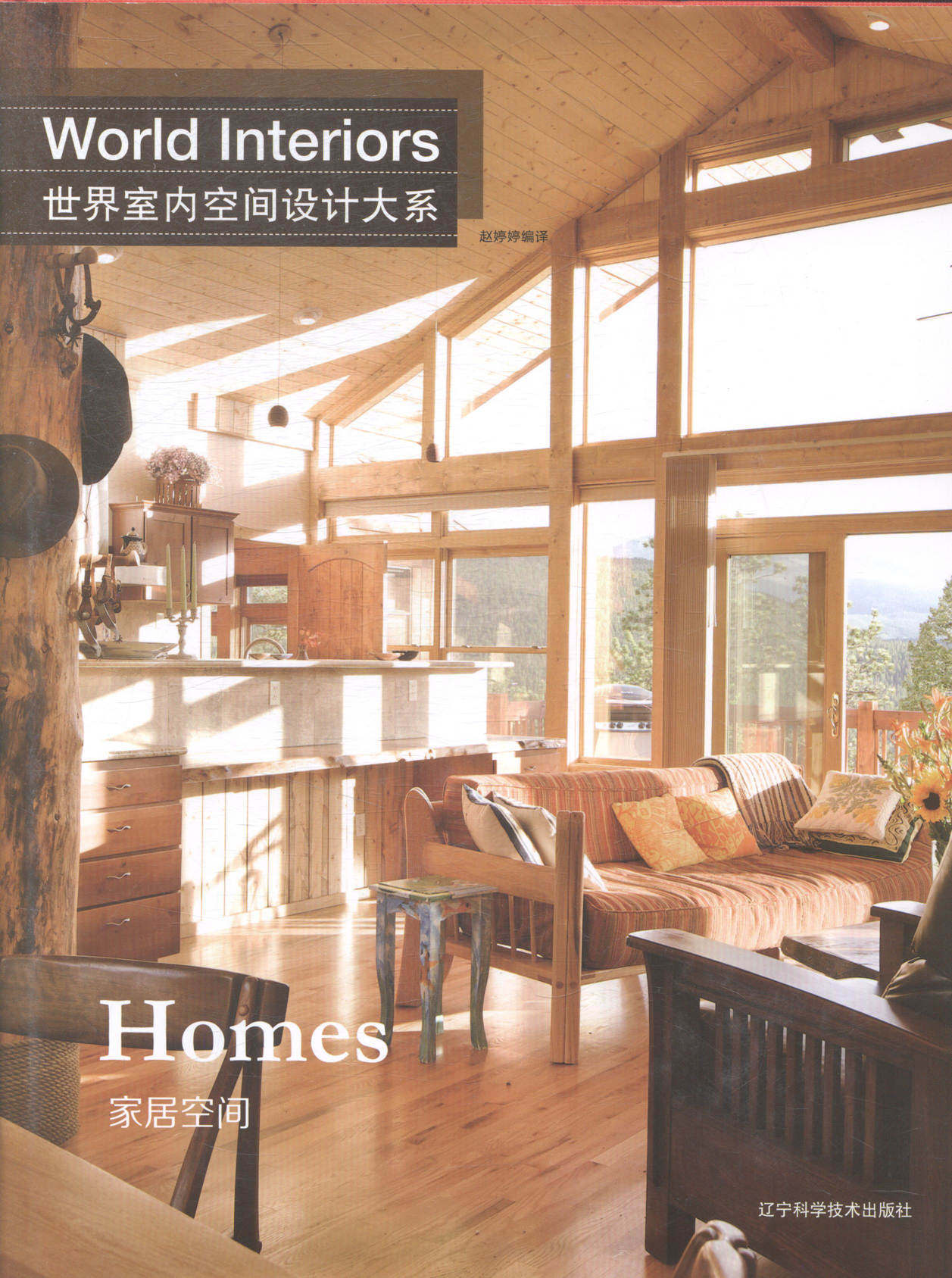 世界室内空间设计大系:家具空间:Homes 书店 赵婷婷 家装方法指导书籍 书 畅想畅销书