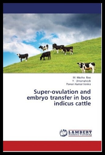 美国库房发货，通常付款后5-8周到货！