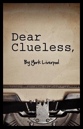 美国库房发货，通常付款后5-8周到货！