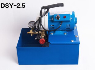 厂家直销DSY-60手提式电动试压泵 PPR管道试压机 双缸打压泵正品