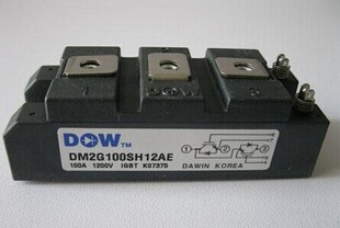 DM2G100SH12A DM2G100SH12AE 大卫 电焊机IGBT模块1200V