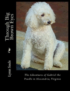 【预售】Through Big Brown Eyes: The Adventures of Gabriel