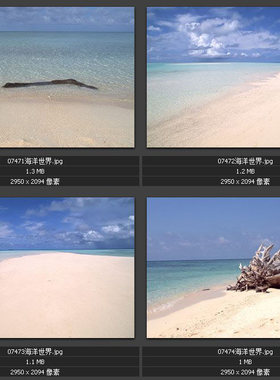 海洋海景 海潮海浪 海滨海岸 椰子树 海滩浴场 海底世界 图片图库