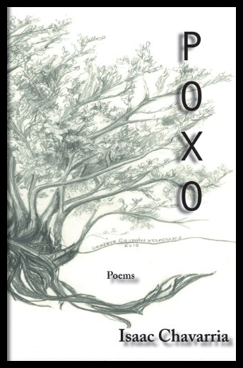 美国库房发货，通常付款后5-8周到货！