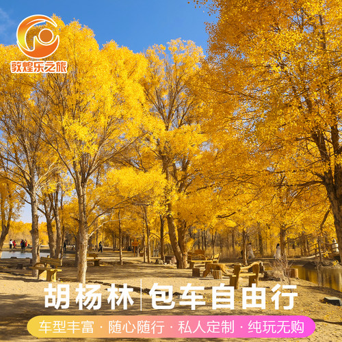 额济纳旗胡杨林包车旅游