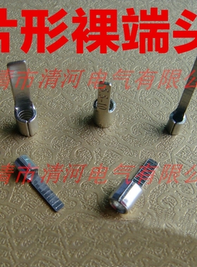DBN1.25/2/5.5-14片形裸接线端子冷压端头扁形端子 小黑夹插片C45