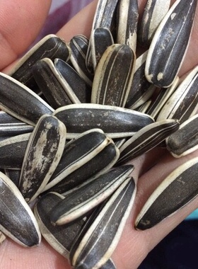 北京秋栗香地安门总店 瓜子花生栗子坚果炒货即食 小吃零食