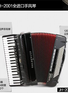 意大利原装四排簧结构回声手风琴