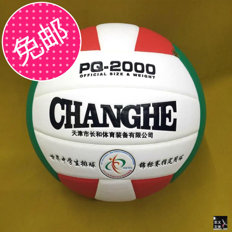 Ballon de volley - Ref 2011016 Image 1