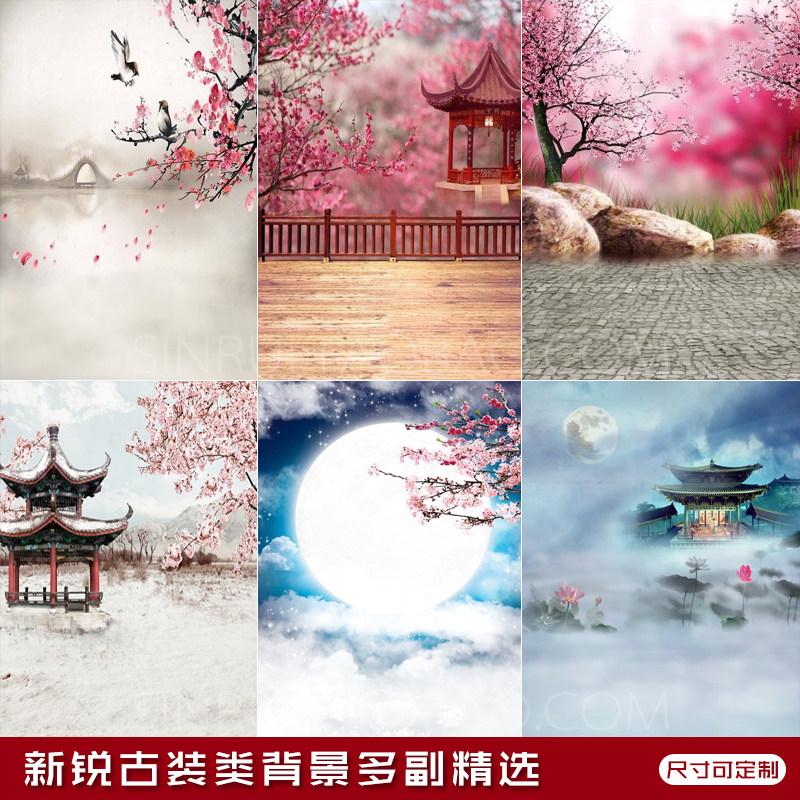 2026新款古装主题写真背景布影楼照相馆个性复古拍照数码背景纸
