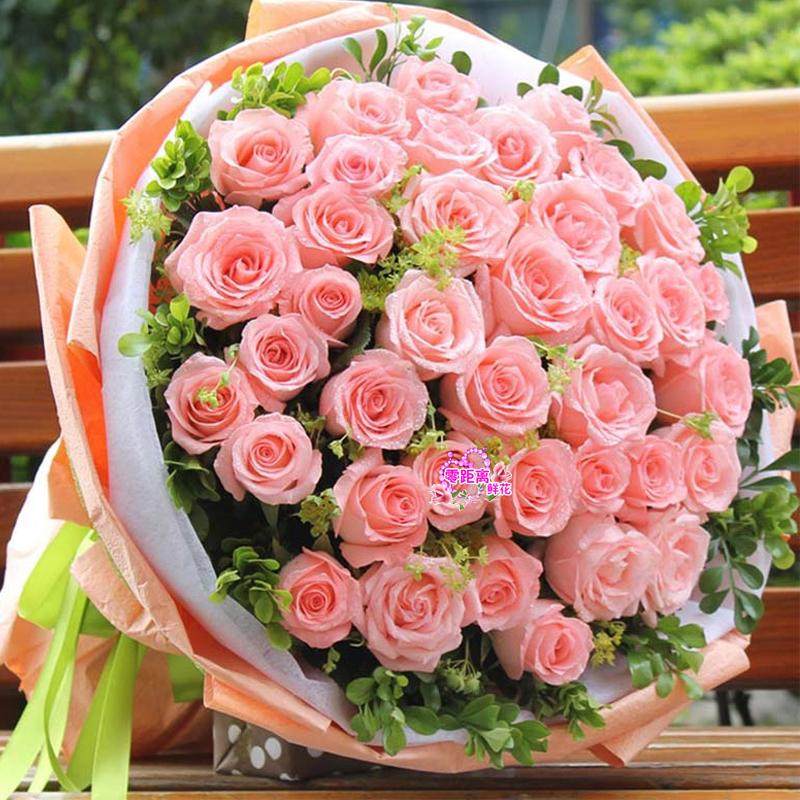33朵粉玫瑰高端鲜花束 爱人朋友生日祝福 七夕教师节礼物上海送花