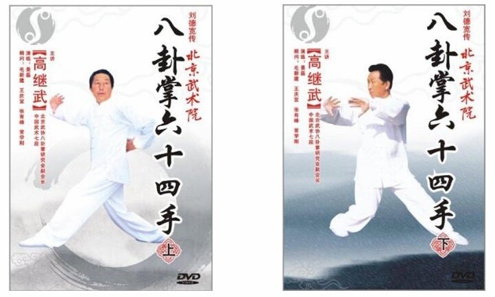 正版武术教学dvd  高继武 八卦掌64,六十四手(上下) 2dvd