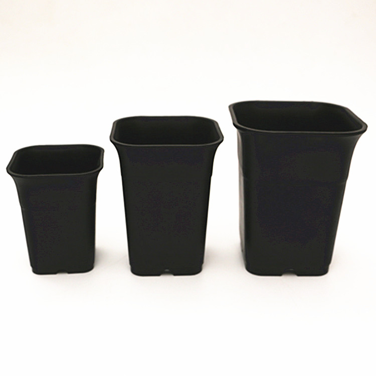 square Vientiane new pattern black Succulent plants Plastic Square pots Frosted pan Succulent One hundred and twenty thousandin the Flower delivery/Flowers simulation/Plants gardening , Vase/Flower/Flowerpot/Flower (New) , Flowerpot  category - from Buy2taobao.com to provide professional Taobao agent buy service