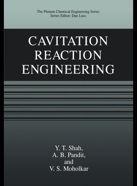 【预售】Cavitation Reaction Engineering