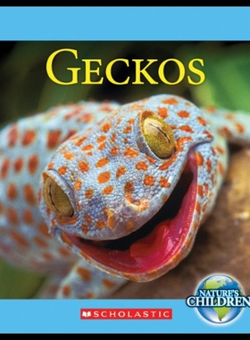 【预售】Geckos